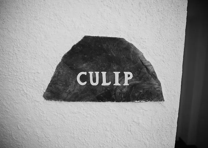 Carpe Diem 2* Cadaqués